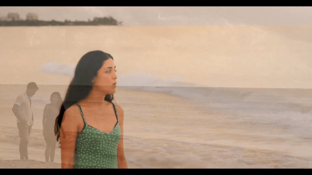 La danza de las libelulas